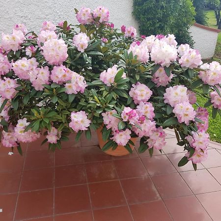 Casa Vittoria Villa Corsanico-Bargecchia Buitenkant foto