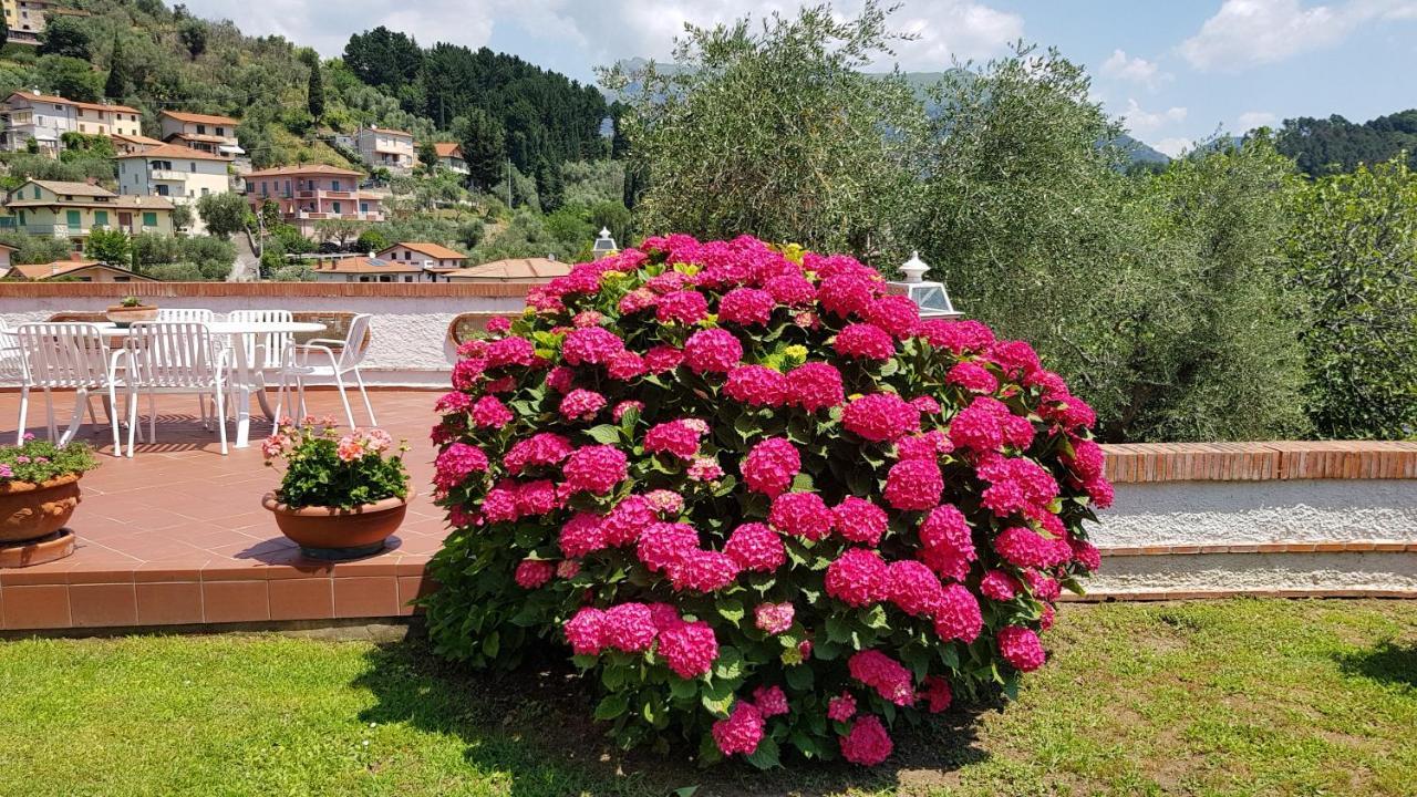 Casa Vittoria Villa Corsanico-Bargecchia Buitenkant foto