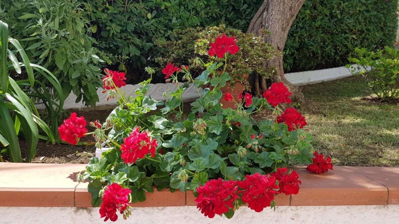 Casa Vittoria Villa Corsanico-Bargecchia Buitenkant foto