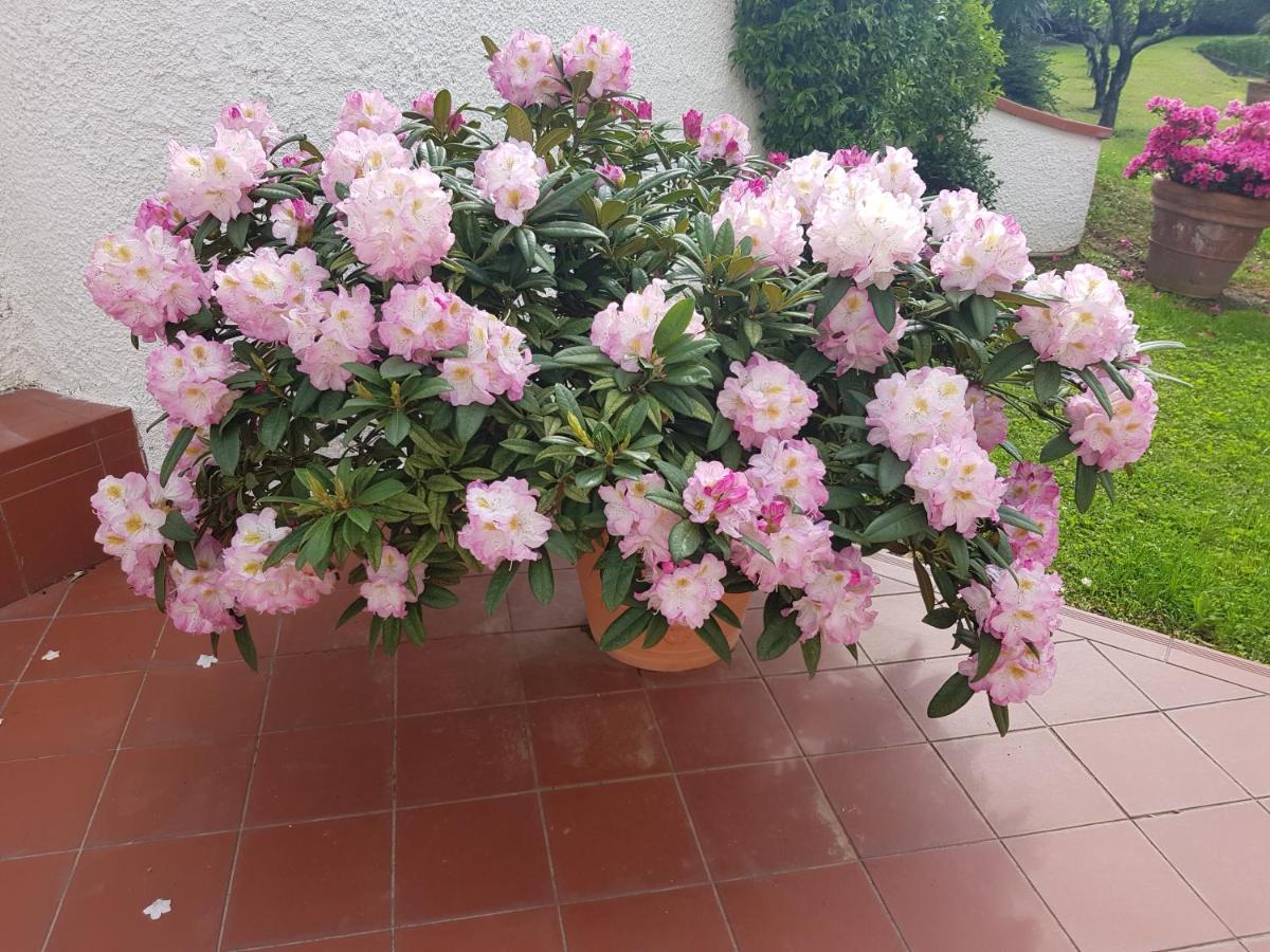 Casa Vittoria Villa Corsanico-Bargecchia Buitenkant foto