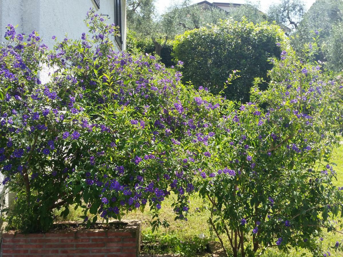 Casa Vittoria Villa Corsanico-Bargecchia Buitenkant foto