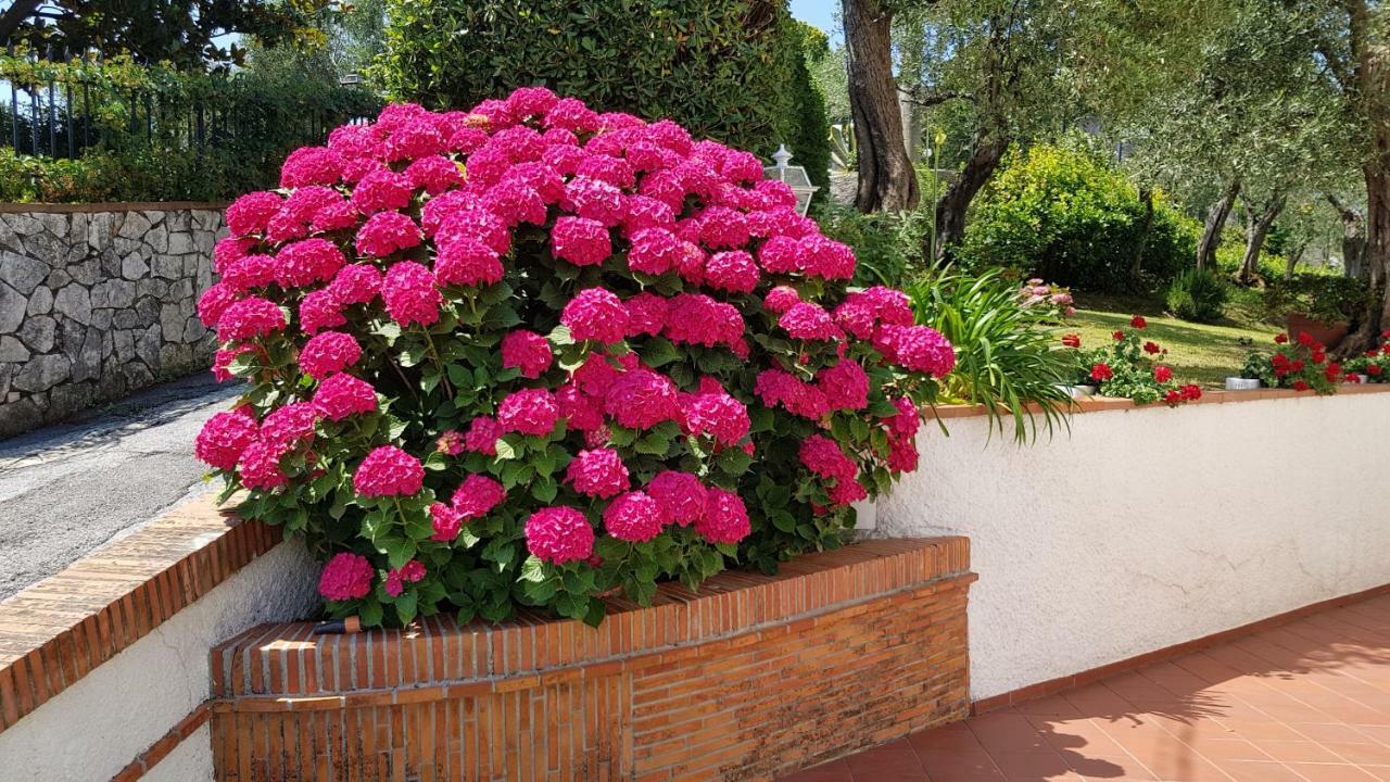 Casa Vittoria Villa Corsanico-Bargecchia Buitenkant foto